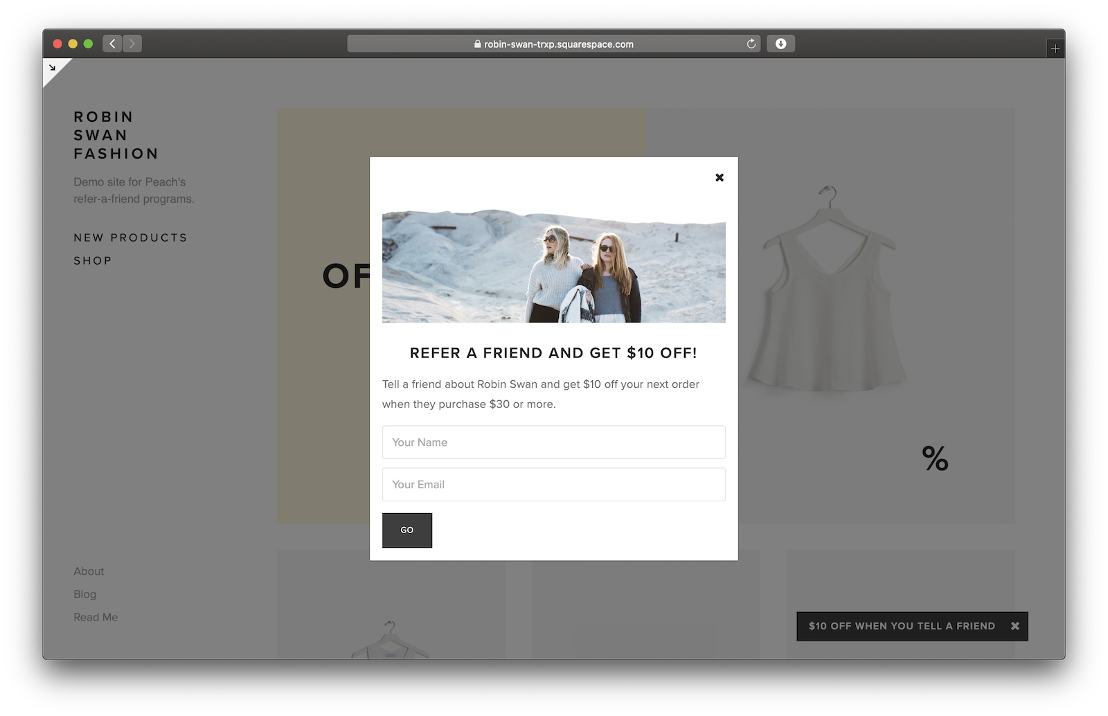 How to Set Up a Squarespace Referral Program — Matthew Palmer